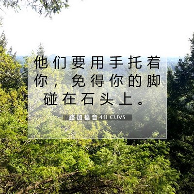 Picture 07 - 路 加 福 音 4:11 CUVS - 他 们 要 用 手 托 着 你 ， 免 得 你 - Bible Verse Picture