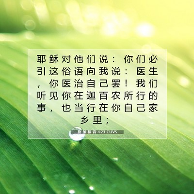 Picture 07 - 路 加 福 音 4:23 CUVS - 耶 稣 对 他 们 说 ： 你 们 必 引 这 - Bible Verse Picture
