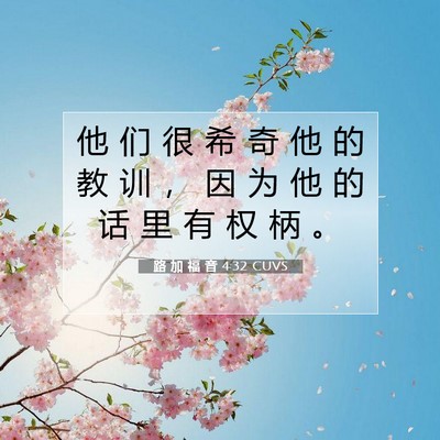 Picture 07 - 路 加 福 音 4:32 CUVS - 他 们 很 希 奇 他 的 教 训 ， 因 为 - Bible Verse Picture