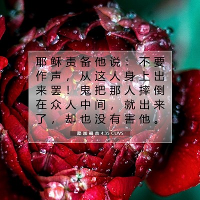 Picture 07 - 路 加 福 音 4:35 CUVS - 耶 稣 责 备 他 说 ： 不 要 作 声 ， - Bible Verse Picture
