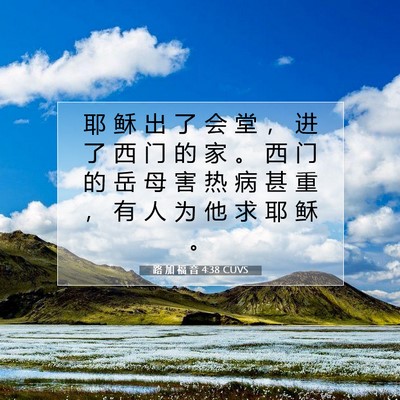 Picture 07 - 路 加 福 音 4:38 CUVS - 耶 稣 出 了 会 堂 ， 进 了 西 门 的 - Bible Verse Picture
