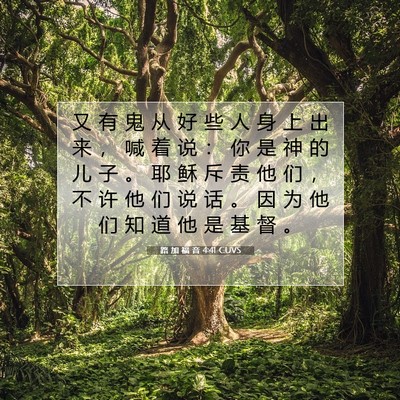 Picture 07 - 路 加 福 音 4:41 CUVS - 又 有 鬼 从 好 些 人 身 上 出 来 ， - Bible Verse Picture
