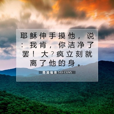 Picture 07 - 路 加 福 音 5:13 CUVS - 耶 稣 伸 手 摸 他 ， 说 ： 我 肯 ， - Bible Verse Picture