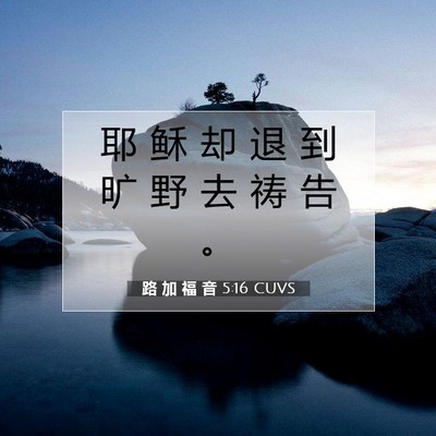 Picture 07 - 路 加 福 音 5:16 CUVS - 耶 稣 却 退 到 旷 野 去 祷 告 - Bible Verse Picture
