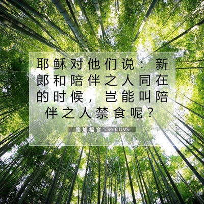 Picture 07 - 路 加 福 音 5:34 CUVS - 耶 稣 对 他 们 说 ： 新 郎 和 陪 伴 - Bible Verse Picture