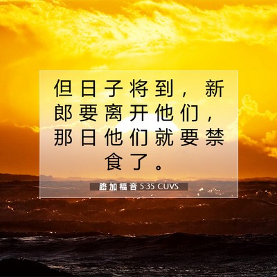 Picture 07 - 路 加 福 音 5:35 CUVS - 但 日 子 将 到 ， 新 郎 要 离 开 他 - Bible Verse Picture