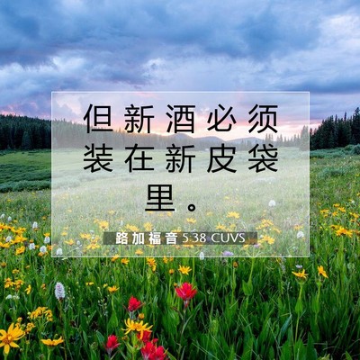 Picture 07 - 路 加 福 音 5:38 CUVS - 但 新 酒 必 须 装 在 新 皮 袋 里 - Bible Verse Picture