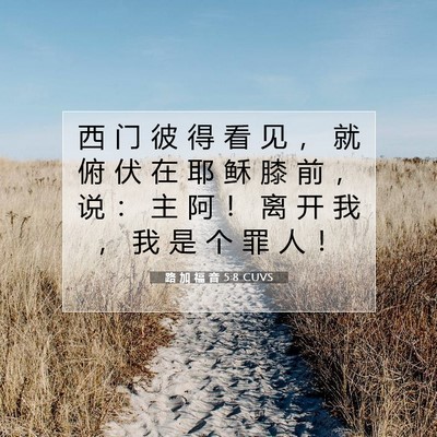 Picture 07 - 路 加 福 音 5:8 CUVS - 西 门 彼 得 看 见 ， 就 俯 伏 在 耶 - Bible Verse Picture