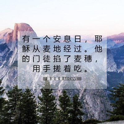 Picture 07 - 路 加 福 音 6:1 CUVS - 有 一 个 安 息 日 ， 耶 稣 从 麦 地 - Bible Verse Picture