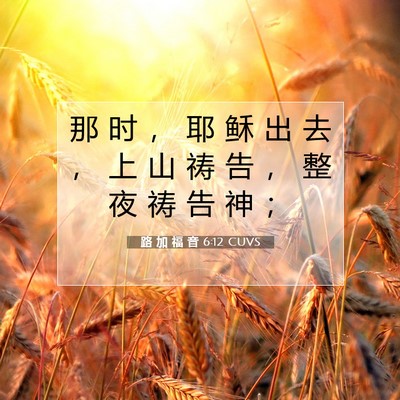 Picture 07 - 路 加 福 音 6:12 CUVS - 那 时 ， 耶 稣 出 去 ， 上 山 祷 告 - Bible Verse Picture