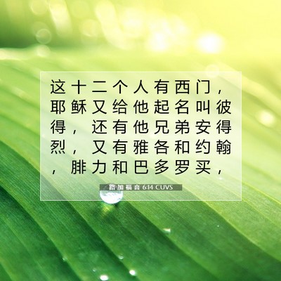 Picture 07 - 路 加 福 音 6:14 CUVS - 这 十 二 个 人 有 西 门 ， 耶 稣 又 - Bible Verse Picture