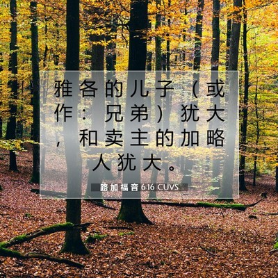 Picture 07 - 路 加 福 音 6:16 CUVS - 雅 各 的 儿 子 （ 或 作 ： 兄 弟 ） - Bible Verse Picture