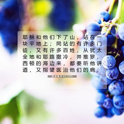 Picture 07 - 路 加 福 音 6:17 CUVS - 耶 稣 和 他 们 下 了 山 ， 站 在 一 - Bible Verse Picture