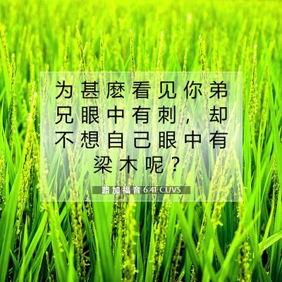 Picture 07 - 路 加 福 音 6:41 CUVS - 为 甚 麽 看 见 你 弟 兄 眼 中 有 刺 - Bible Verse Picture