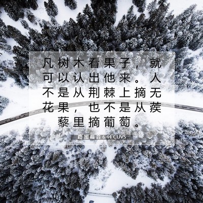Picture 07 - 路 加 福 音 6:44 CUVS - 凡 树 木 看 果 子 ， 就 可 以 认 出 - Bible Verse Picture