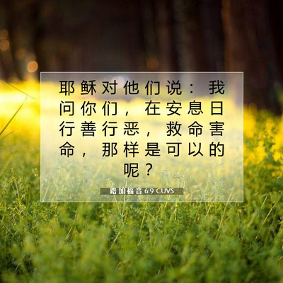 Picture 07 - 路 加 福 音 6:9 CUVS - 耶 稣 对 他 们 说 ： 我 问 你 们 ， - Bible Verse Picture