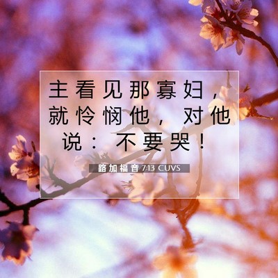 Picture 07 - 路 加 福 音 7:13 CUVS - 主 看 见 那 寡 妇 ， 就 怜 悯 他 ， - Bible Verse Picture