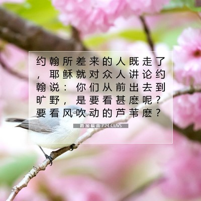 Picture 07 - 路 加 福 音 7:24 CUVS - 约 翰 所 差 来 的 人 既 走 了 ， 耶 - Bible Verse Picture