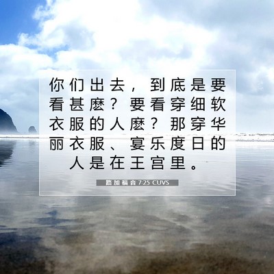 Picture 07 - 路 加 福 音 7:25 CUVS - 你 们 出 去 ， 到 底 是 要 看 甚 麽 - Bible Verse Picture