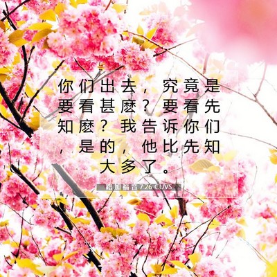 Picture 07 - 路 加 福 音 7:26 CUVS - 你 们 出 去 ， 究 竟 是 要 看 甚 麽 - Bible Verse Picture