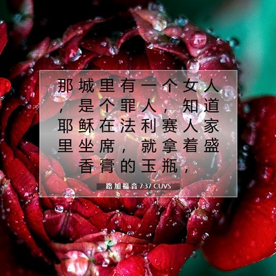 Picture 07 - 路 加 福 音 7:37 CUVS - 那 城 里 有 一 个 女 人 ， 是 个 罪 - Bible Verse Picture