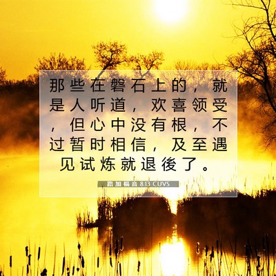 Picture 07 - 路 加 福 音 8:13 CUVS - 那 些 在 磐 石 上 的 ， 就 是 人 听 - Bible Verse Picture