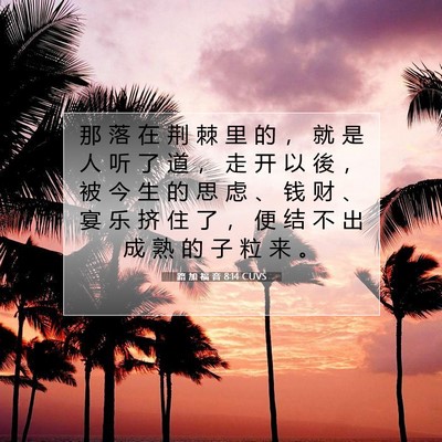 Picture 07 - 路 加 福 音 8:14 CUVS - 那 落 在 荆 棘 里 的 ， 就 是 人 听 - Bible Verse Picture