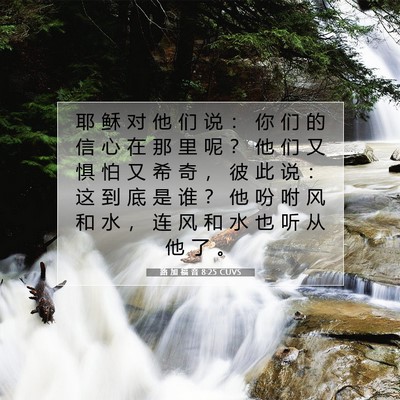 Picture 07 - 路 加 福 音 8:25 CUVS - 耶 稣 对 他 们 说 ： 你 们 的 信 心 - Bible Verse Picture