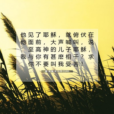 Picture 07 - 路 加 福 音 8:28 CUVS - 他 见 了 耶 稣 ， 就 俯 伏 在 他 面 - Bible Verse Picture