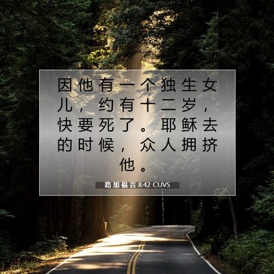 Picture 07 - 路 加 福 音 8:42 CUVS - 因 他 有 一 个 独 生 女 儿 ， 约 有 - Bible Verse Picture