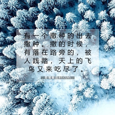 Picture 07 - 路 加 福 音 8:5 CUVS - 有 一 个 撒 种 的 出 去 撒 种 。 撒 - Bible Verse Picture