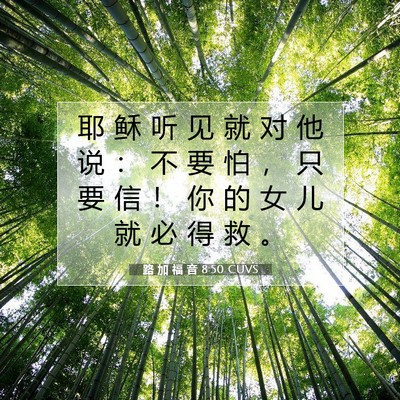 Picture 07 - 路 加 福 音 8:50 CUVS - 耶 稣 听 见 就 对 他 说 ： 不 要 怕 - Bible Verse Picture