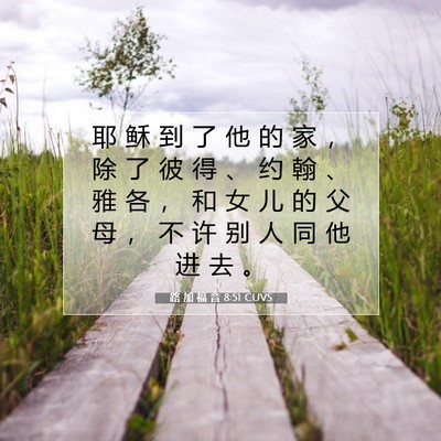 Picture 07 - 路 加 福 音 8:51 CUVS - 耶 稣 到 了 他 的 家 ， 除 了 彼 得 - Bible Verse Picture
