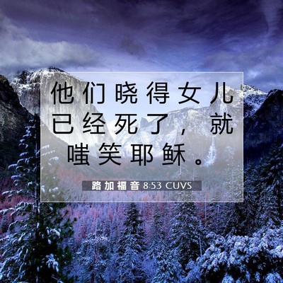 Picture 07 - 路 加 福 音 8:53 CUVS - 他 们 晓 得 女 儿 已 经 死 了 ， 就 - Bible Verse Picture