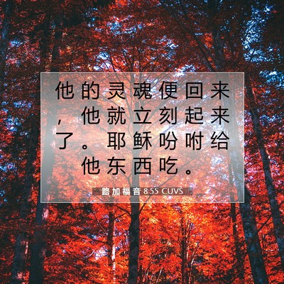 Picture 07 - 路 加 福 音 8:55 CUVS - 他 的 灵 魂 便 回 来 ， 他 就 立 刻 - Bible Verse Picture