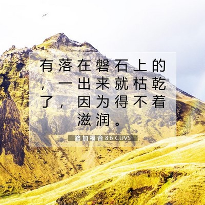 Picture 07 - 路 加 福 音 8:6 CUVS - 有 落 在 磐 石 上 的 ， 一 出 来 就 - Bible Verse Picture