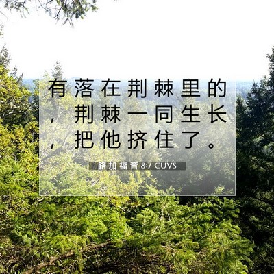 Picture 07 - 路 加 福 音 8:7 CUVS - 有 落 在 荆 棘 里 的 ， 荆 棘 一 同 - Bible Verse Picture