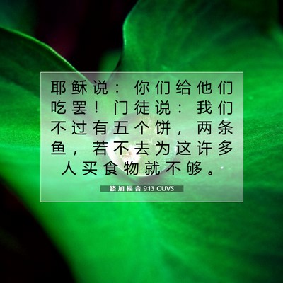 Picture 07 - 路 加 福 音 9:13 CUVS - 耶 稣 说 ： 你 们 给 他 们 吃 罢 ！ - Bible Verse Picture