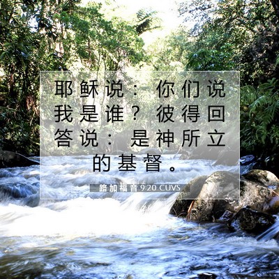 Picture 07 - 路 加 福 音 9:20 CUVS - 耶 稣 说 ： 你 们 说 我 是 谁 ？ 彼 - Bible Verse Picture