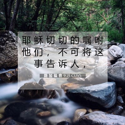 Picture 07 - 路 加 福 音 9:21 CUVS - 耶 稣 切 切 的 嘱 咐 他 们 ， 不 可 - Bible Verse Picture
