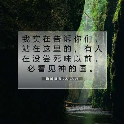 Picture 07 - 路 加 福 音 9:27 CUVS - 我 实 在 告 诉 你 们 ， 站 在 这 里 - Bible Verse Picture