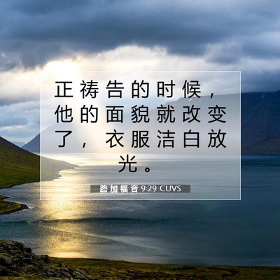 Picture 07 - 路 加 福 音 9:29 CUVS - 正 祷 告 的 时 候 ， 他 的 面 貌 就 - Bible Verse Picture