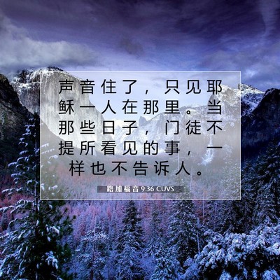 Picture 07 - 路 加 福 音 9:36 CUVS - 声 音 住 了 ， 只 见 耶 稣 一 人 在 - Bible Verse Picture