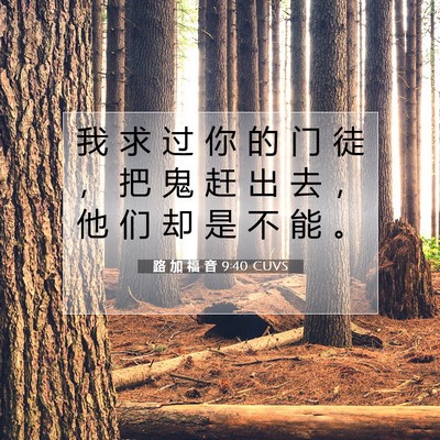 Picture 07 - 路 加 福 音 9:40 CUVS - 我 求 过 你 的 门 徒 ， 把 鬼 赶 出 - Bible Verse Picture