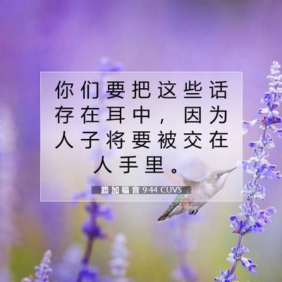 Picture 07 - 路 加 福 音 9:44 CUVS - 你 们 要 把 这 些 话 存 在 耳 中 ， - Bible Verse Picture