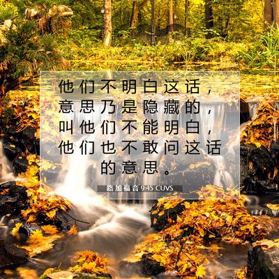 Picture 07 - 路 加 福 音 9:45 CUVS - 他 们 不 明 白 这 话 ， 意 思 乃 是 - Bible Verse Picture