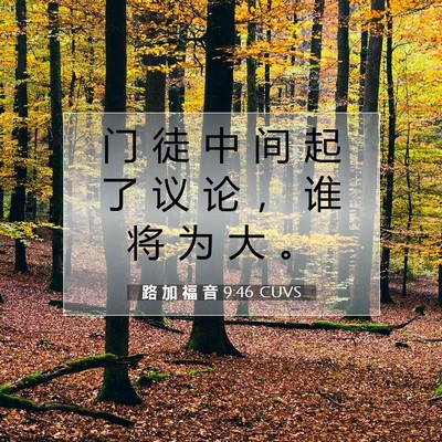 Picture 07 - 路 加 福 音 9:46 CUVS - 门 徒 中 间 起 了 议 论 ， 谁 将 为 - Bible Verse Picture