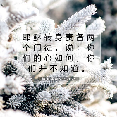 Picture 07 - 路 加 福 音 9:55 CUVS - 耶 稣 转 身 责 备 两 个 门 徒 ， 说 - Bible Verse Picture