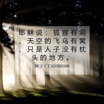 Picture 07 - 路 加 福 音 9:58 CUVS - 耶 稣 说 ： 狐 狸 有 洞 ， 天 空 的 - Bible Verse Picture