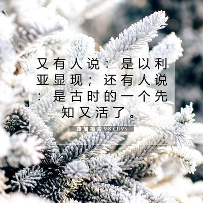 Picture 07 - 路 加 福 音 9:8 CUVS - 又 有 人 说 ： 是 以 利 亚 显 现 ； - Bible Verse Picture